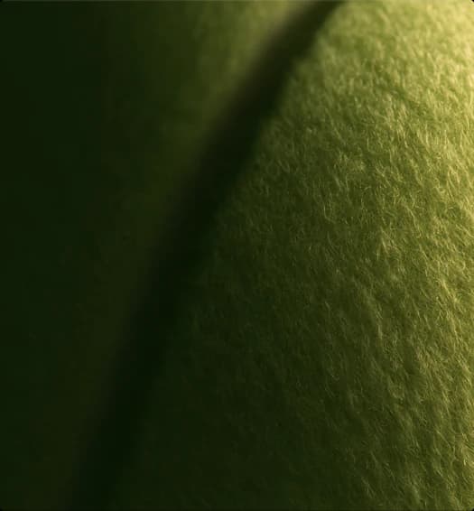 Team Lausanne design detail